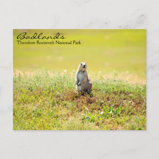 ノースダコタ葉書のバッドランド ポストカード