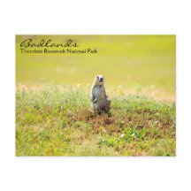 ノースダコタ葉書のバッドランド