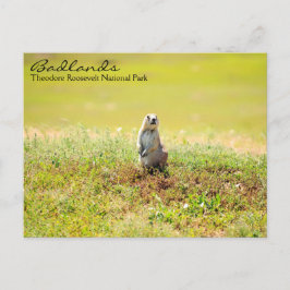 ノースダコタ葉書のバッドランド ポストカード