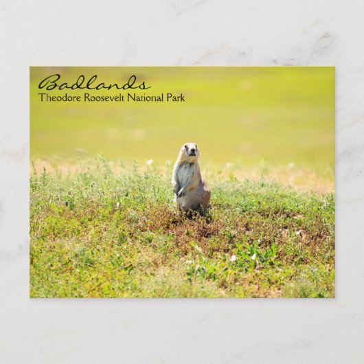 ノースダコタ葉書のバッドランド ポストカード (正面)