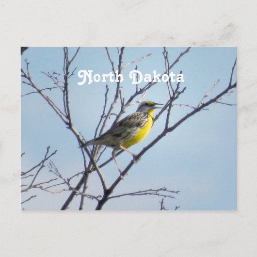 ノースダコタ ポストカード (正面)