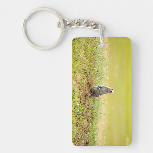 ノースダコタKeychainの荒地 キーホルダー (正面)