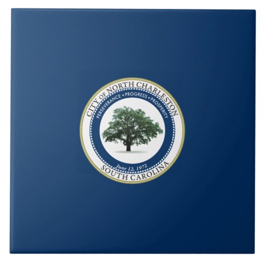 ノースチャールストン州旗（サウスカロライナ州） タイル (正面)