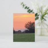 ノーステキサスの夕日 ポストカード (スタンド正面)