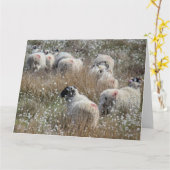 ノースハンバーランド州の綿花の中のスワレデールのエワ カード (黄色い花)