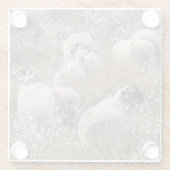 ノースハンバーランド州の綿花の中のスワレデールのエワ ガラスコースター (裏面)