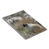 ノースハンバーランド州の綿花の中のスワレデールのエワ ノートブック (右側)