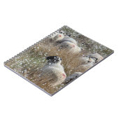 ノースハンバーランド州の綿花の中のスワレデールのエワ ノートブック (左側)