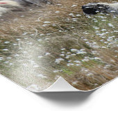 ノースハンバーランド州の綿花の中のスワレデールのエワ フォトプリント            (角)