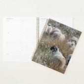 ノースハンバーランド州の綿花の中のスワレデールのエワ プランナー手帳 (ディスプレー)