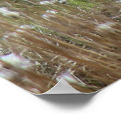 ノースハンバーランド州の綿花の中のスワレデールのエワ ポスター (角)