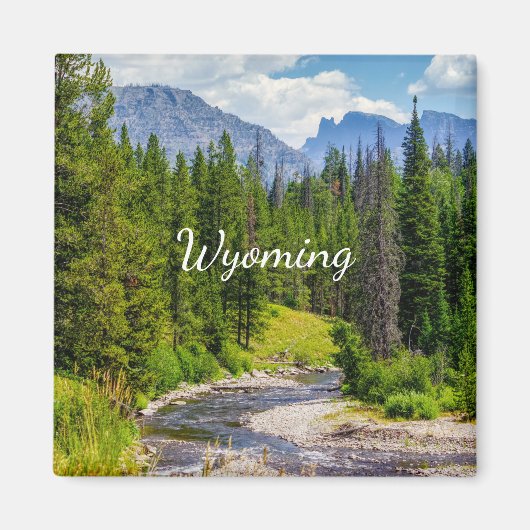 ノースフォークショショーネリバースクエアマグネット マグネット (正面)