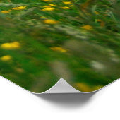 ノースヘッドライトハウス ポスター (角)