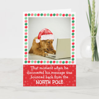 ノースポール ドッグ 折りたたみ ホリデー カード