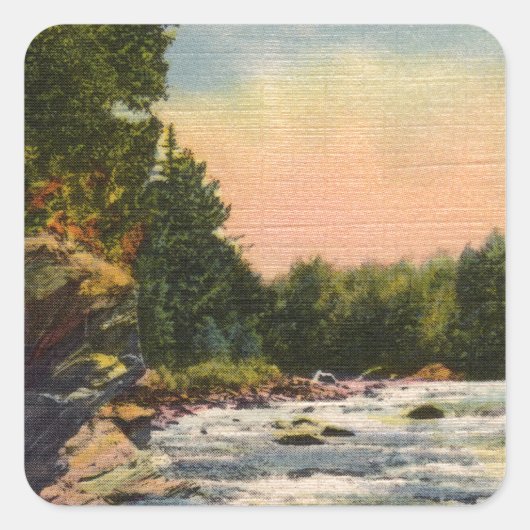 ノースランドラピッド スクエアシール (正面)