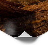 ノースリムサンライズ ポスター (コーナー)