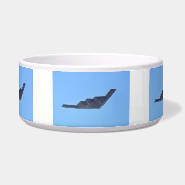 ノースロップグランマンB-2スピリット ボウル (正面)