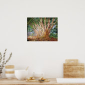 ノース – インディアンラバーツリーズ通りペルデニヤ ポスター (キッチン)