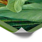 ノース – 美しいの湿地、植物芸術 ポスター (角)