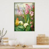 ノース – 美しいの湿地、植物芸術 ポスター (キッチン)