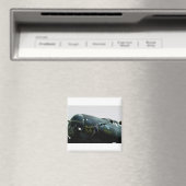 ノーズアート・メンフィス・ベル マグネット (インサイチュ (食洗機))