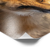 ノーズ霜の降りたキツネフォトプリント フォトプリント            (角)