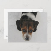 ノーズ霜の降りた ポストカード (正面/裏面)