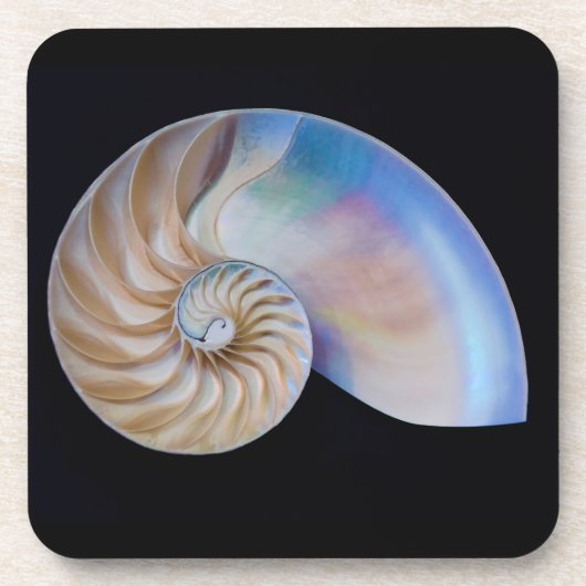 ノーチラスの中 コースター (正面)