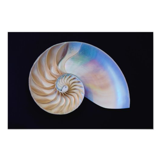 ノーチラスの中 フォトプリント            (正面)