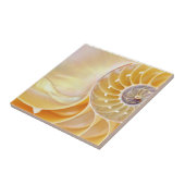 ノーチラス・セラミック・タイル タイル (側面)