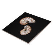 ノーチラス・セラミック・タイル タイル (側面)