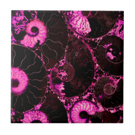 ノーチラス・ピンク・シェル・デザイン タイル