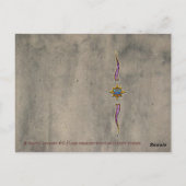 ノーチリ ポストカード (裏面)