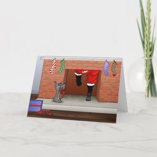 ノーチンお尻Aシュナウツァークリスマス シーズンカード (正面)