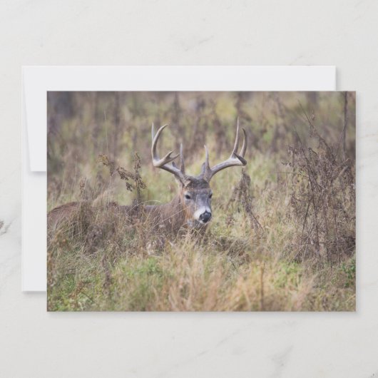 ノーテカードを伏せた9ポイントバック空白のス サンキューカード (正面)