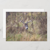 ノーテカードを伏せた9ポイントバック空白のス サンキューカード (正面/裏面)