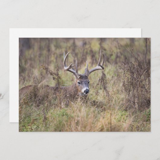 ノーテカードを伏せた9ポイントバック空白のス サンキューカード (正面/裏面)