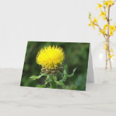 ノーテカード、ユーモア"How Are You" カード (黄色い花)