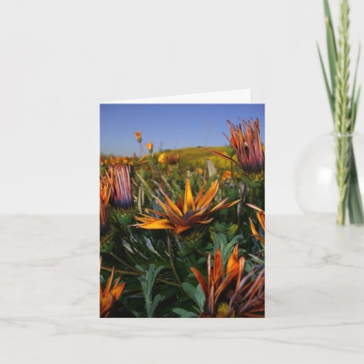 ノートありがとう: 花の分野 サンキューカード (正面)