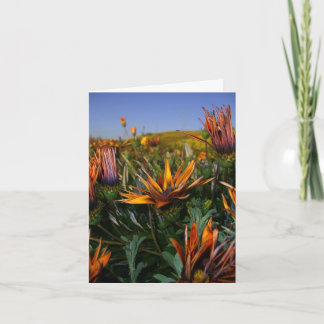 ノートありがとう: 花の分野 サンキューカード