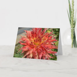 ノートにオレンジ色のダリア カード