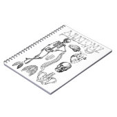 ノートの人間の解剖学の教科書 ノートブック (左側)