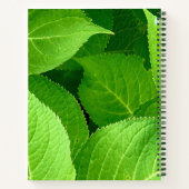 ノートインスパイア帳とア離れジュール付きの花。 ノートブック (裏面)