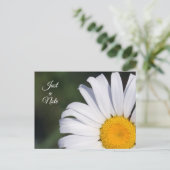 ノートオフセットデイジー葉書のみ ポストカード (スタンド正面)