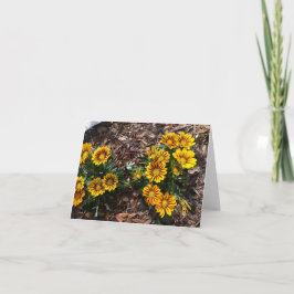 ノートカードに鮮やかな黄色のガ空白のサニアの花 カード