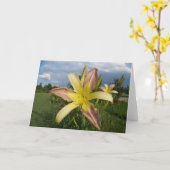 ノートカードの日曜日 カード (黄色い花)