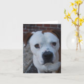 ノートカードを最大 カード (黄色い花)