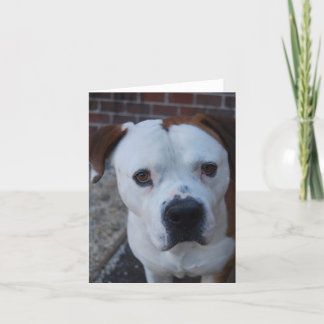 ノートカードを最大 カード