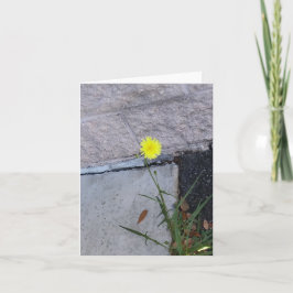 ノートカード上の頑固な美しい2 ノートカード