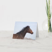 ノートカード (正面)